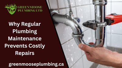 Why Regular Plumbing Maintenance Prevents Costly Repairs